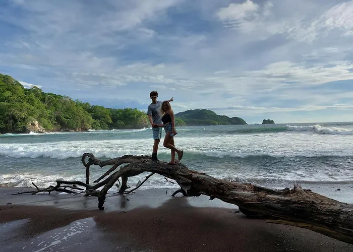 Hotel Palm *