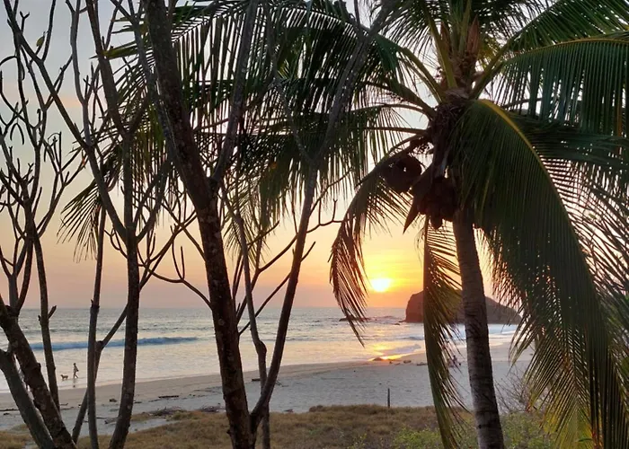 Palm