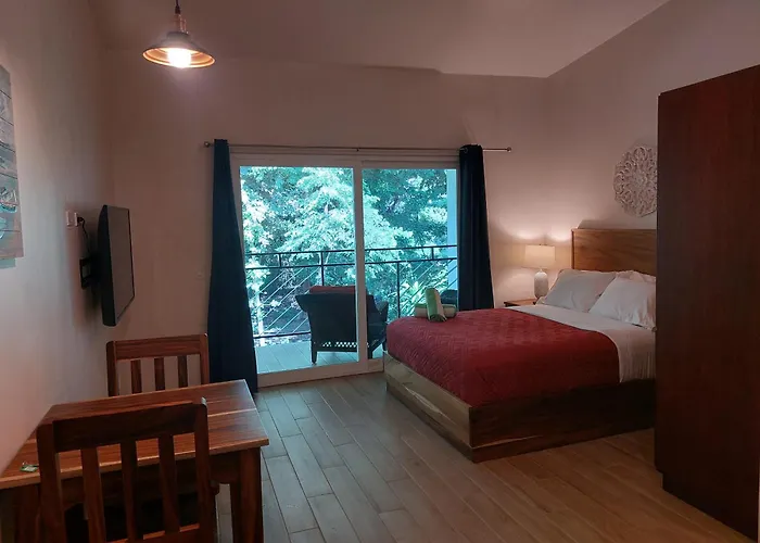 Palm Hotel *