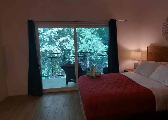 Palm Hotel