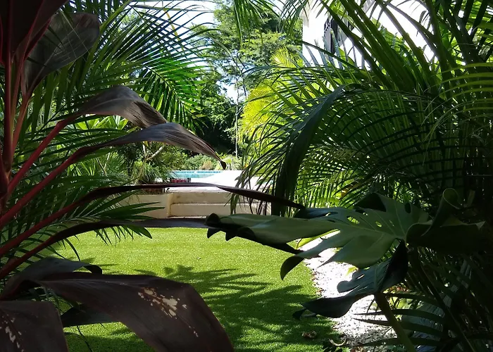 Palm Playa Grande