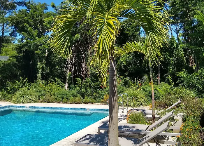 Hotel Palm *
