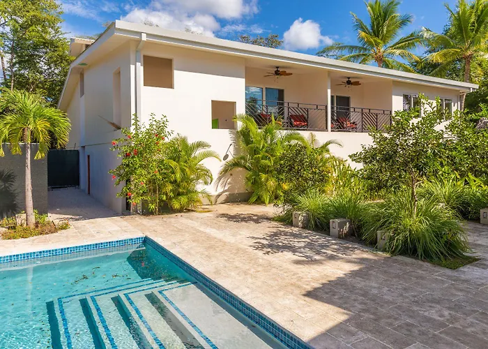 Hotel Palm